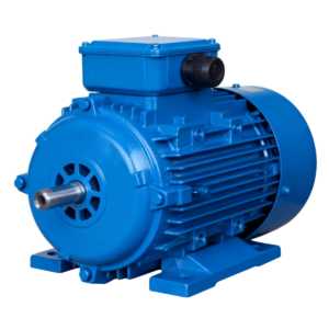 Explosion-Proof Motor