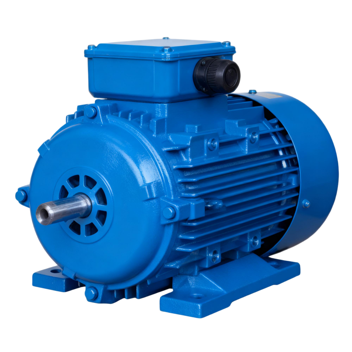 Explosion-Proof Motor